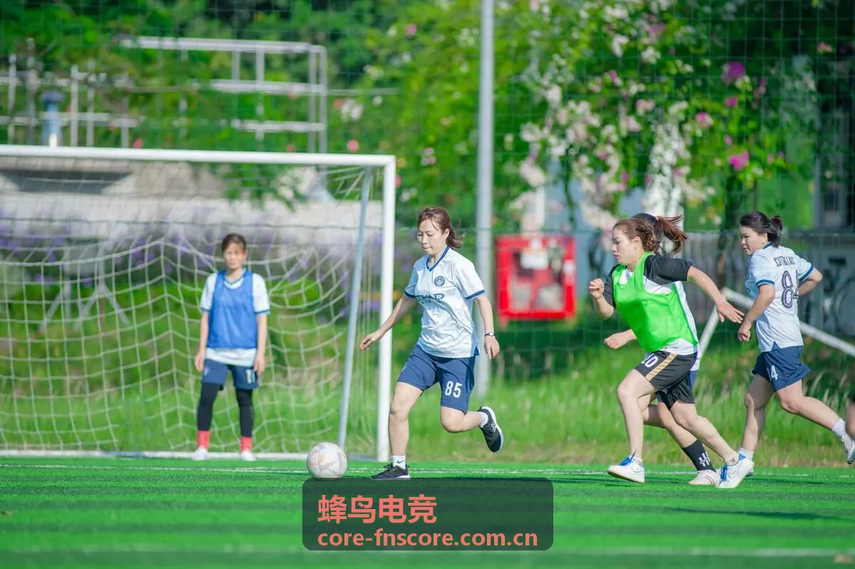 蜂鸟电竞塔下防守反击框架封面图