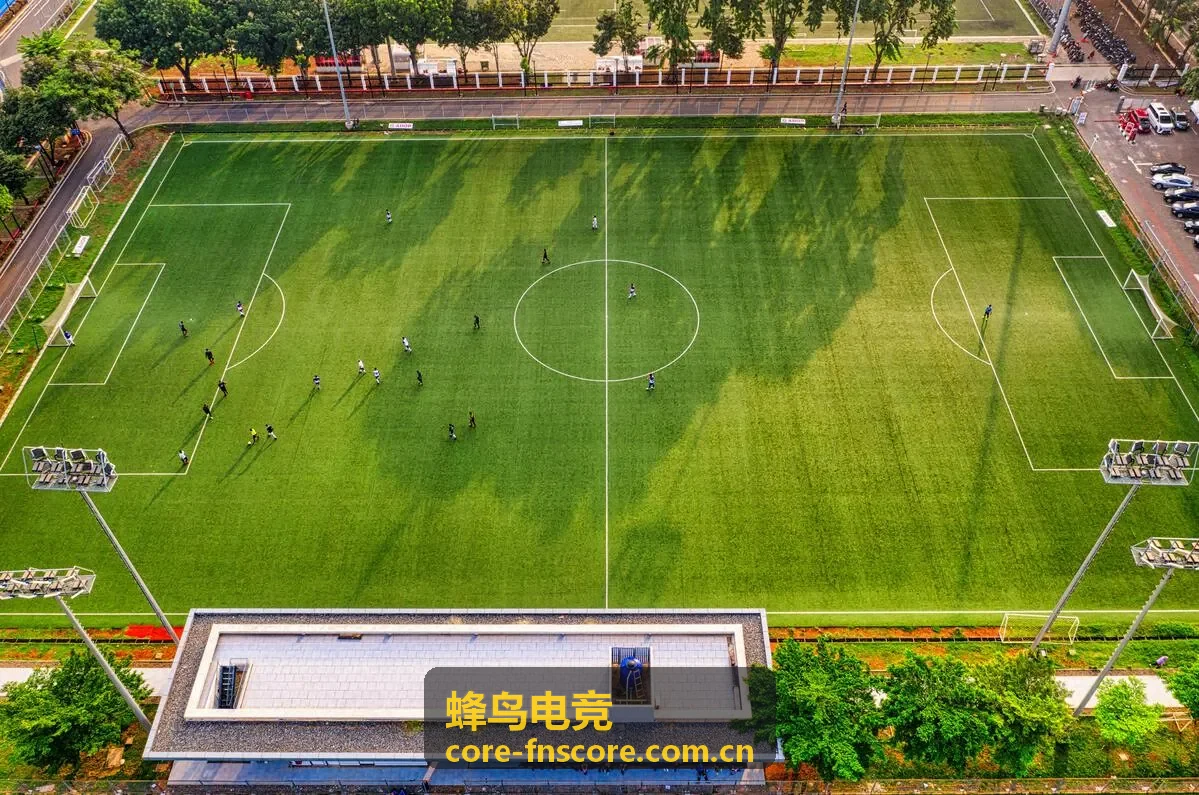 蜂鸟电竞四一分推体系运用封面图